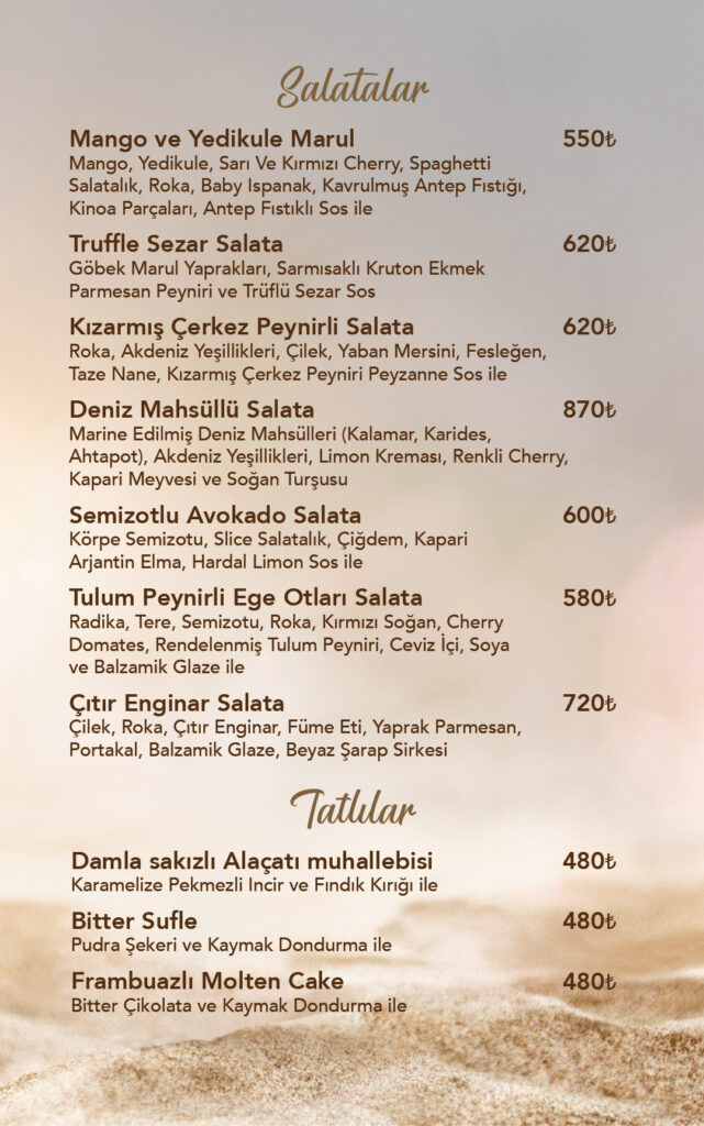 Restoran Menü Türkçe