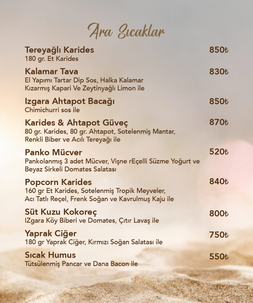 Restoran Menü Türkçe