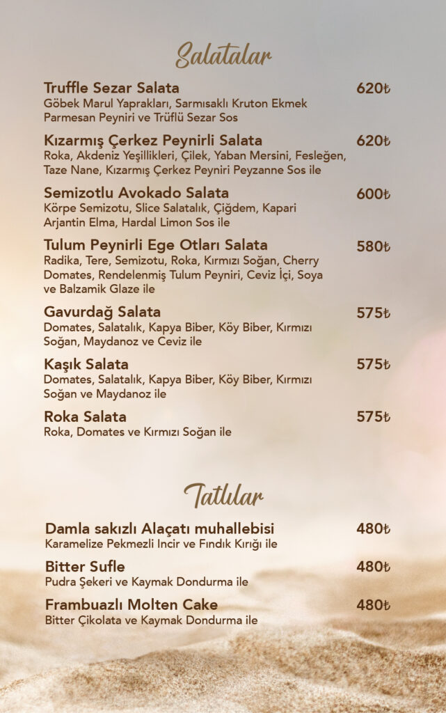 Restoran Menü Türkçe