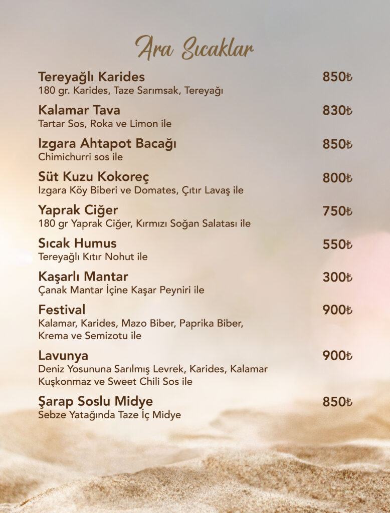 Restoran Menü Türkçe