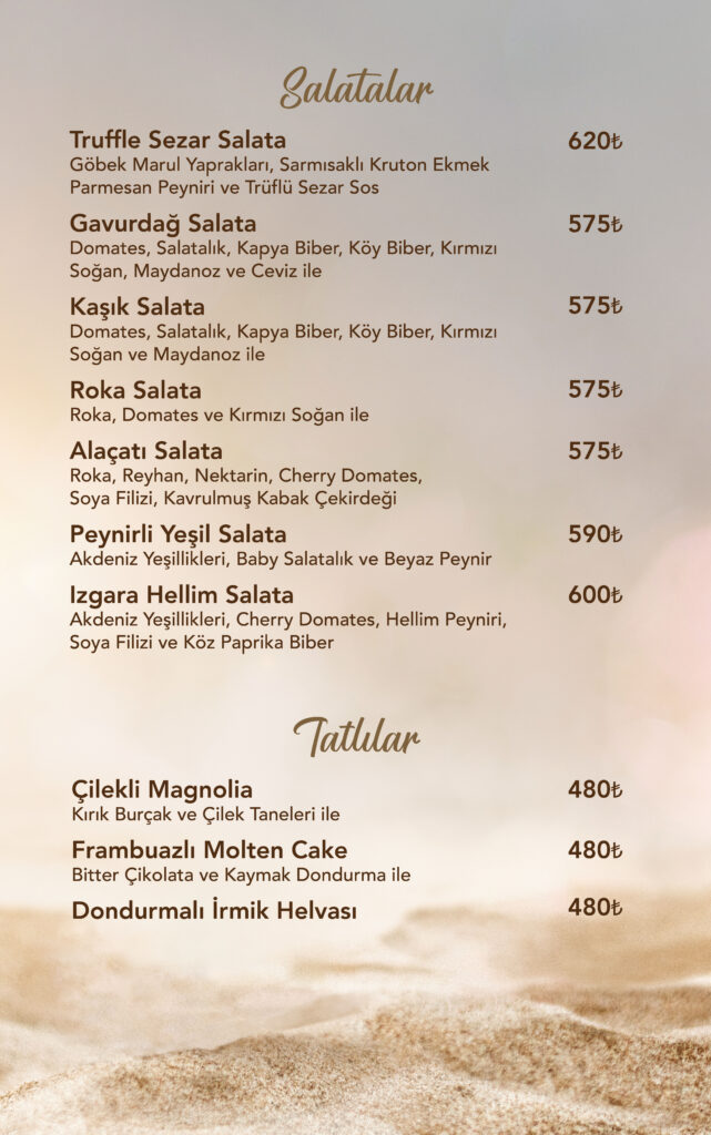 Restoran Menü Türkçe
