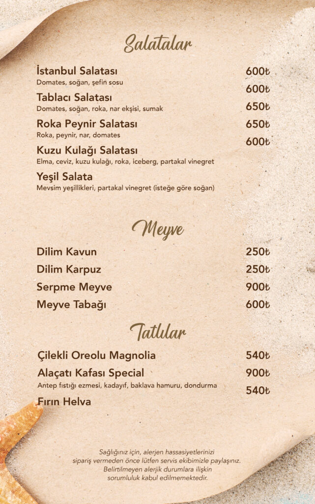 Restoran Menü Türkçe