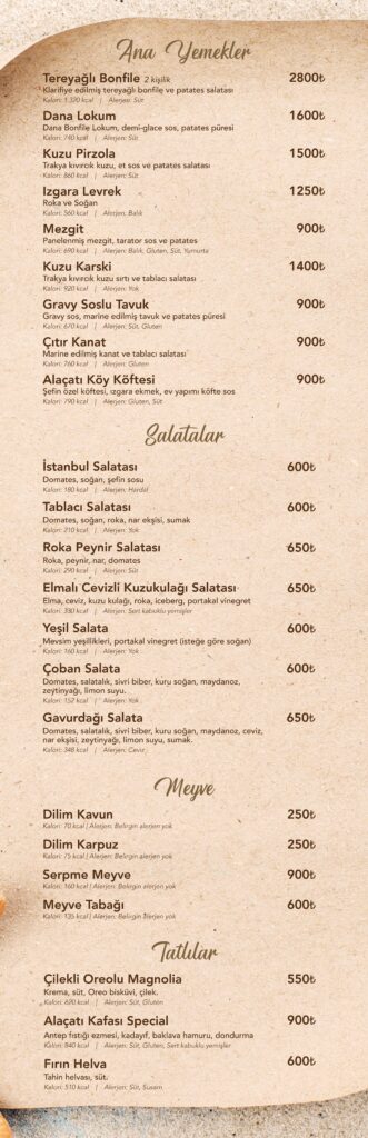 Restoran Menü Türkçe